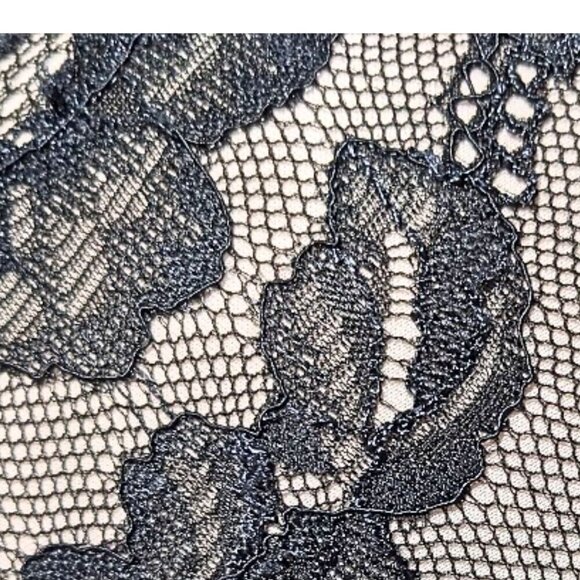 VICTORIA'S SECRET Body by Victoria Push-Up Underwire Lace Front Bra Size 32D - Picture 4 of 4